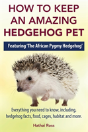 How To Keep An Amazing Hedgehog Pet - Preview
