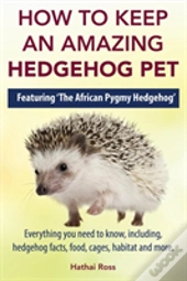 How To Keep An Amazing Hedgehog Pet