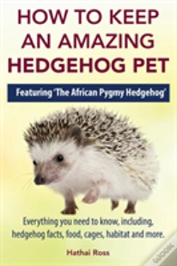 Capa do artigo How To Keep An Amazing Hedgehog Pet