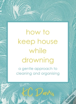 Capa do artigo How To Keep House While Drowning