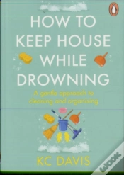 Capa do artigo How To Keep House While Drowning