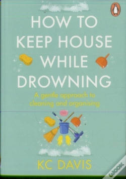 Capa do artigo How To Keep House While Drowning