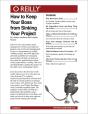 How To Keep Your Boss From Sinking Your Project - Preview