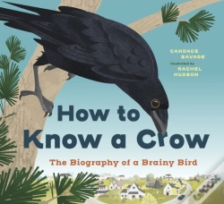 Capa do artigo How To Know A Crow