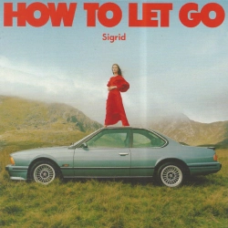 Capa do artigo How To Let Go - CD
