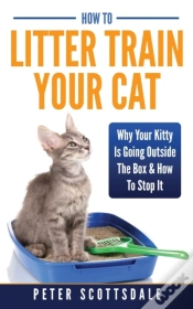Capa do artigo How To Litter Train Your Cat