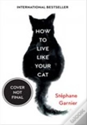 Capa do artigo How To Live Like Your Cat