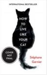 How To Live Like Your Cat