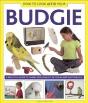 How To Look After Your Budgie - Preview