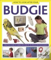Capa do artigo How To Look After Your Budgie