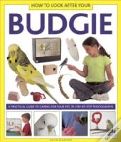 Capa do artigo How To Look After Your Budgie