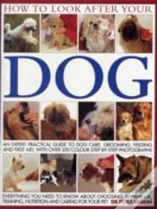 Capa do artigo How To Look After Your Dog