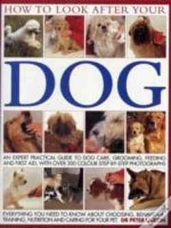 Capa do artigo How To Look After Your Dog