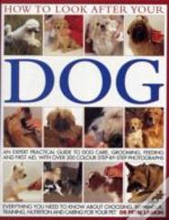 How To Look After Your Dog