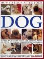 How To Look After Your Dog - Preview