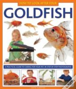 Capa do artigo How To Look After Your Goldfish