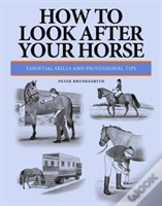 How To Look After Your Horse