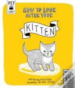 How To Look After Your Kitten