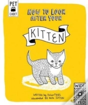 Capa do artigo How To Look After Your Kitten
