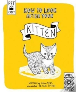 Capa do artigo How To Look After Your Kitten