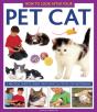 How To Look After Your Pet Cat - Preview