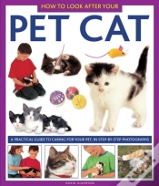 Capa do artigo How To Look After Your Pet Cat