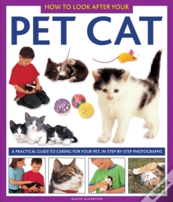 Capa do artigo How To Look After Your Pet Cat
