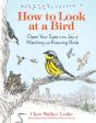 How To Look At A Bird - Preview
