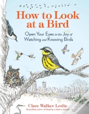 Capa do artigo How To Look At A Bird