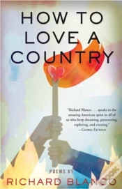 Capa do artigo How To Love A Country