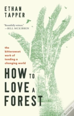 Capa do artigo How To Love A Forest