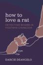 How To Love A Rat - Preview