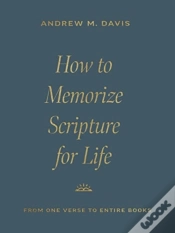 Capa do artigo How To Memorize Scripture For Life