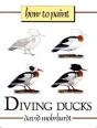 How To Paint Diving Ducks - Preview