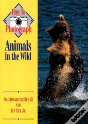 How To Photograph Animals In The Wild