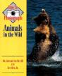 How To Photograph Animals In The Wild - Preview