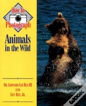 Capa do artigo How To Photograph Animals In The Wild