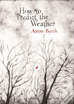 Capa do artigo How To Predict The Weather