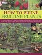 How To Prune Fruiting Plants - Preview
