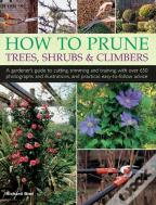 How To Prune Trees, Shrubs & Climbers