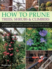 Capa do artigo How To Prune Trees, Shrubs & Climbers