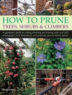 Capa do artigo How To Prune Trees, Shrubs & Climbers