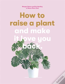 Capa do artigo How To Raise A Plant