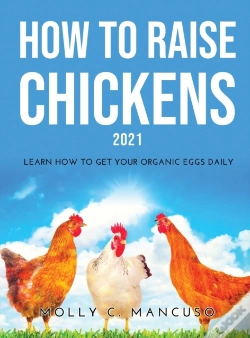 Capa do artigo How To Raise Chickens 2021: Learn How To