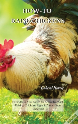 Capa do artigo How-To Raise Chickens