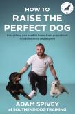 How To Raise The Perfect Dog