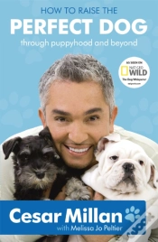 Capa do artigo How To Raise The Perfect Dog