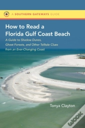 How To Read A Florida Gulf Coast Beach