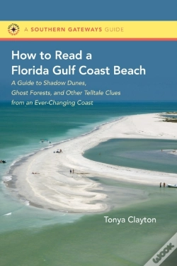 Capa do artigo How To Read A Florida Gulf Coast Beach