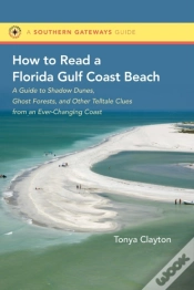Capa do artigo How To Read A Florida Gulf Coast Beach